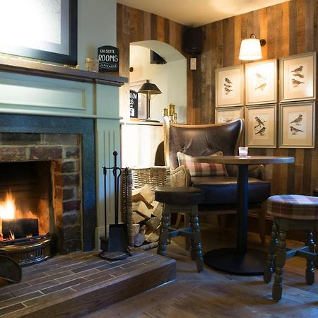 Red Lion Inn Little Budworth Exterior foto